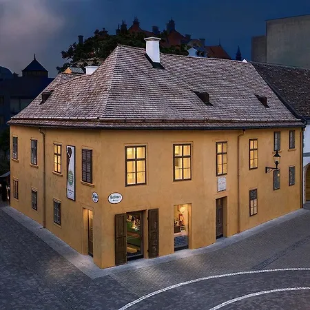 Διαμέρισμα Davis Haus Μπάντεν